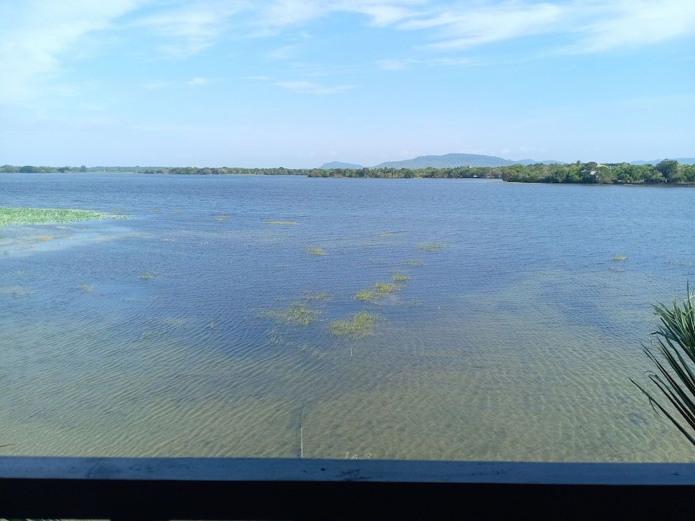 Yala Treetop Lake
