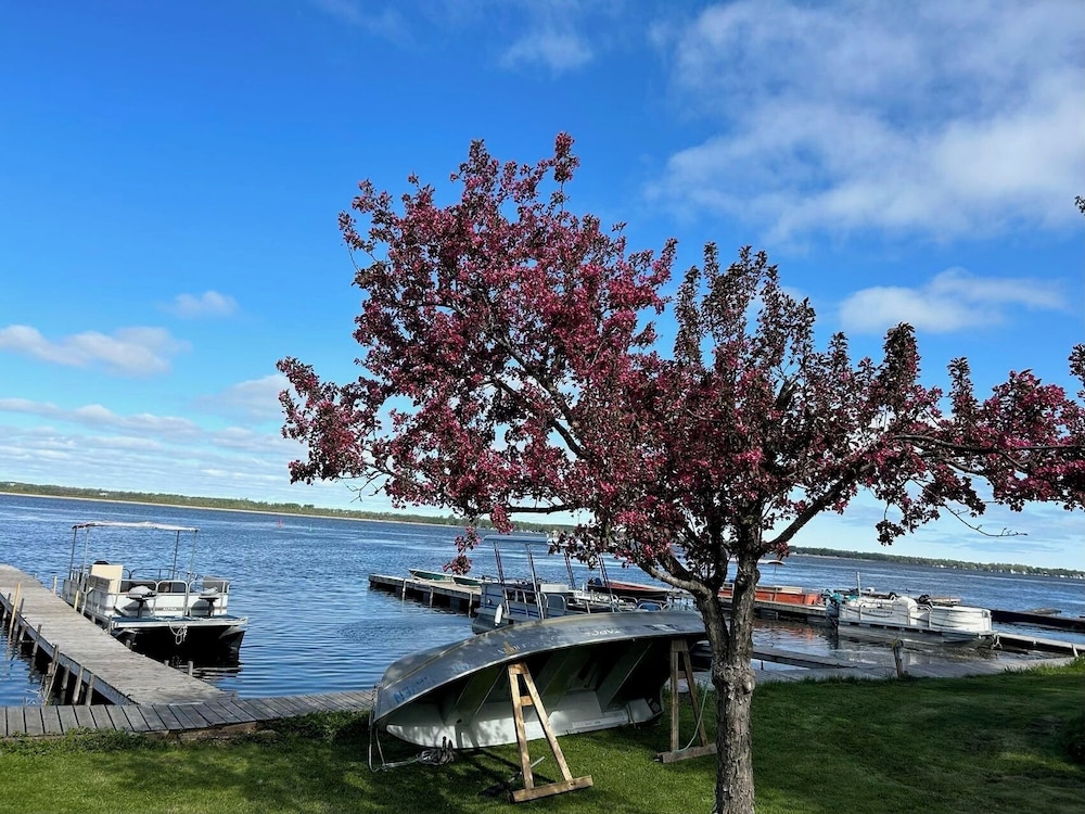 Myriad Fins Cottage and Marina