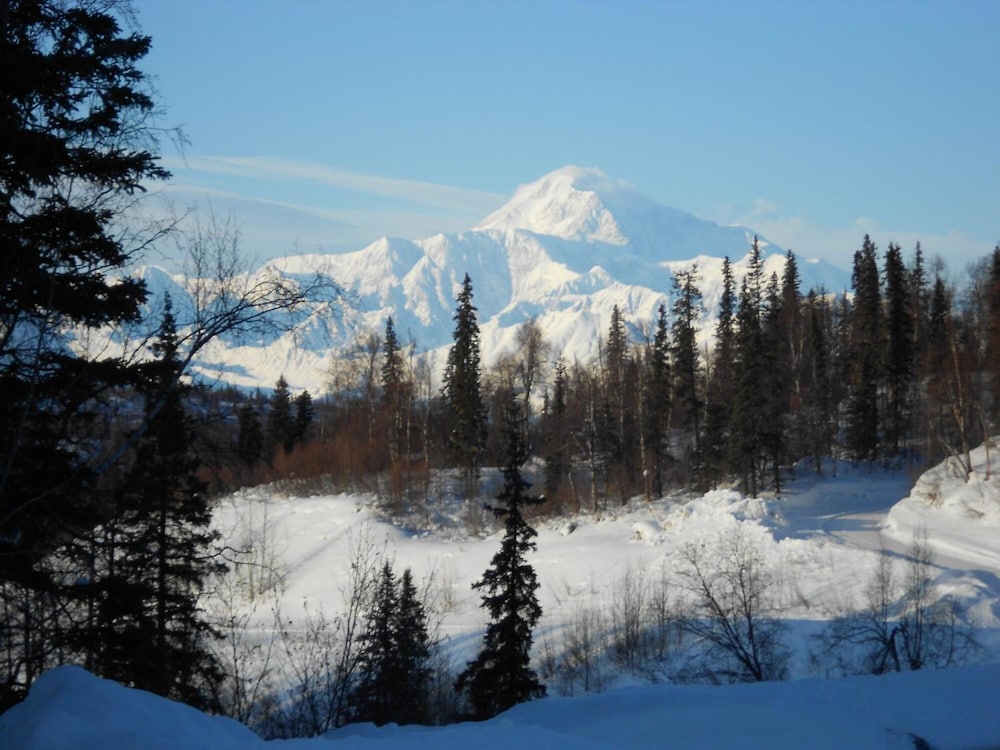 Denali Primrose B&B