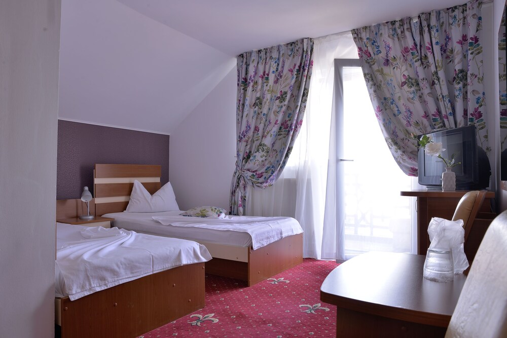 Pension Elisabeta view 5