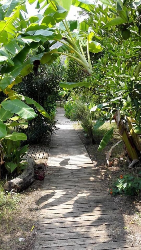 Campo Portakal Eco Glamping Cirali