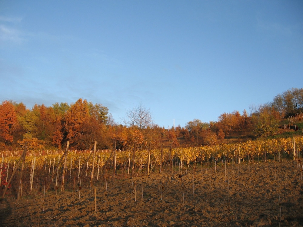 Agriturismo Cascina Tollu