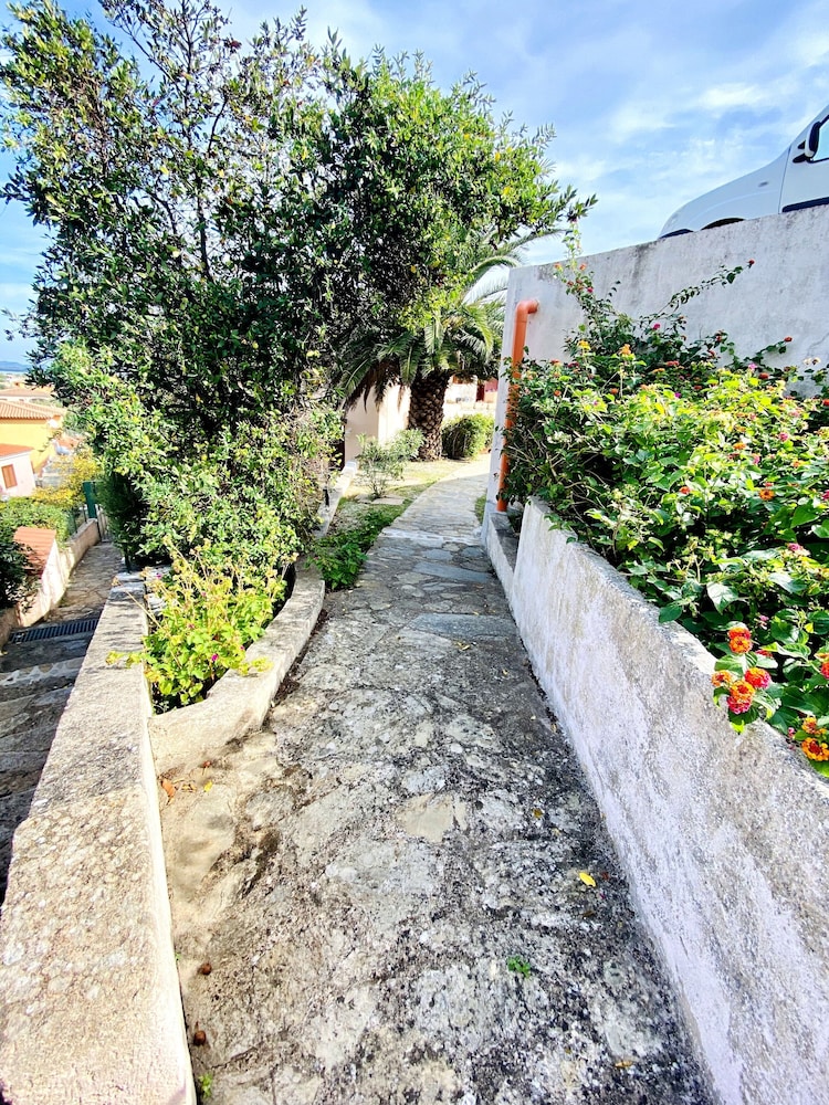 Photo 22