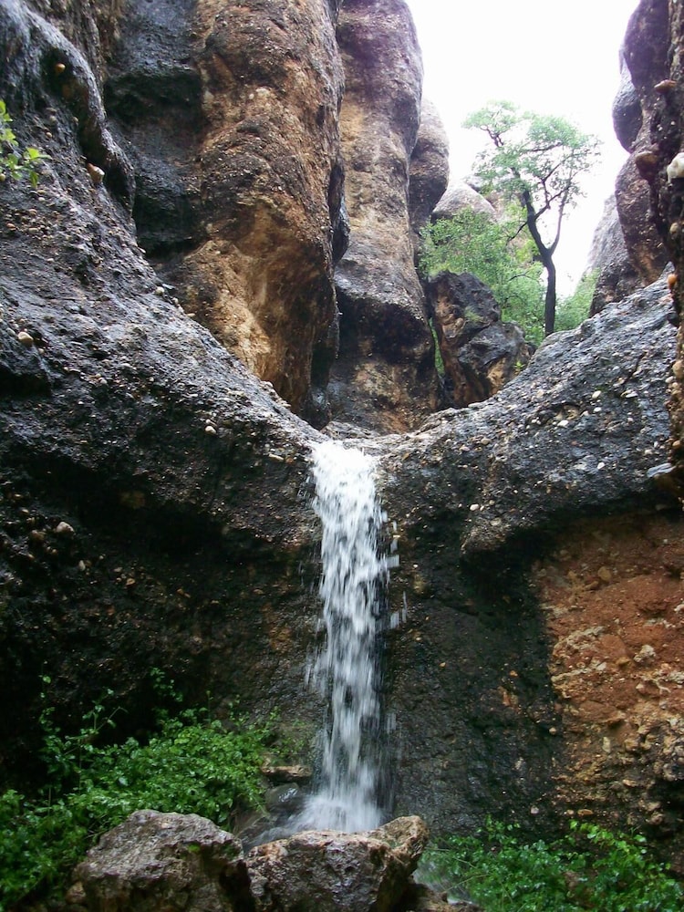 Sasa Safari Camp