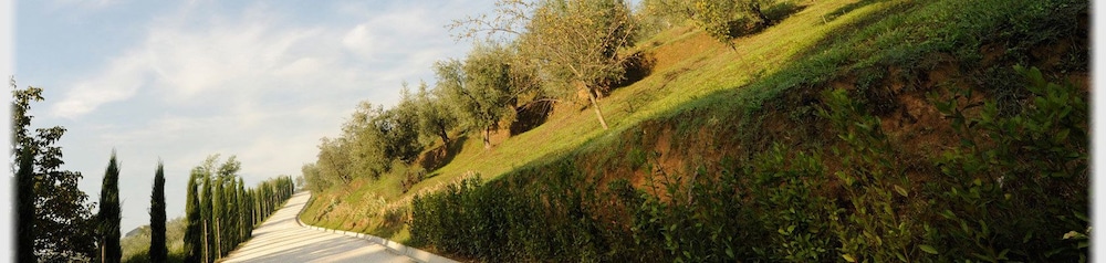 Il Borghetto Andrea Tafi
