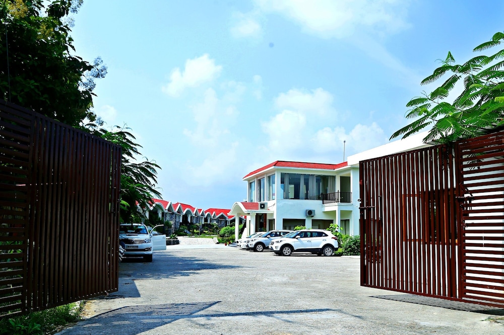 Photo 44