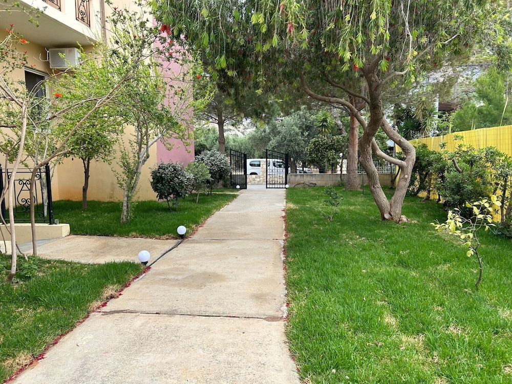 Photo 8