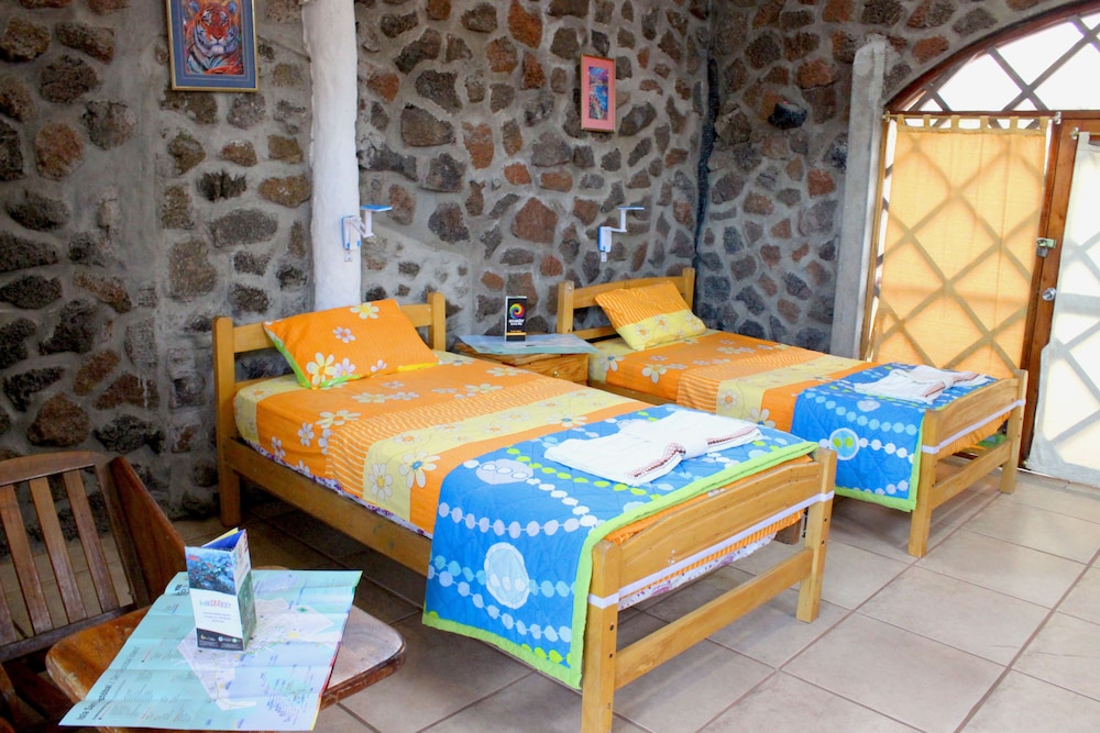 Galapagos Penguin Hostel