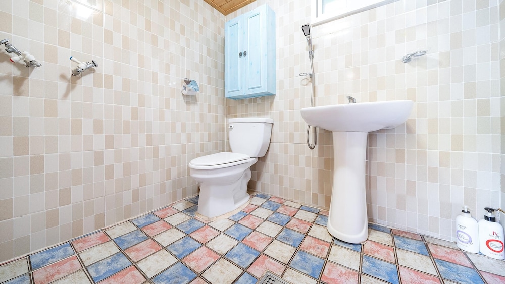 Chuncheon Namiseom pet Friendly Pension