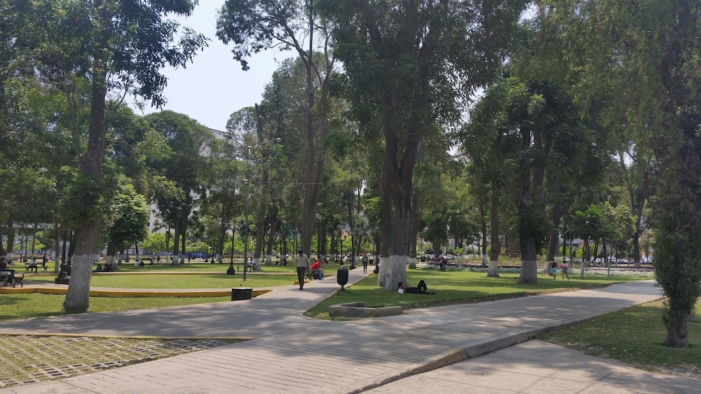Eral Apartments Parque 1