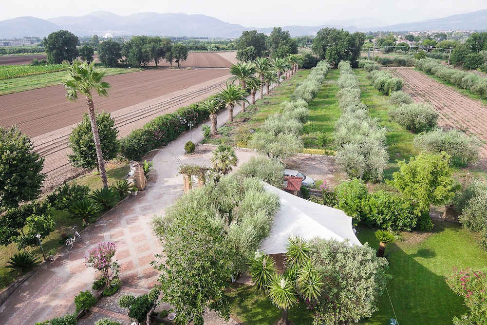 Villa Rosa Lifestyle B&B