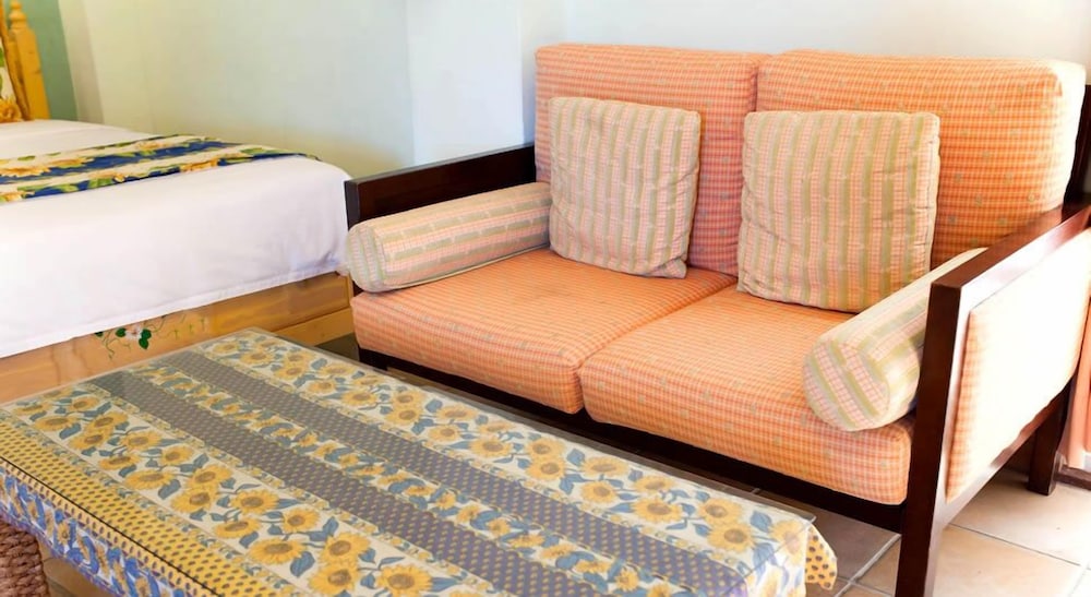 Avignon B&B