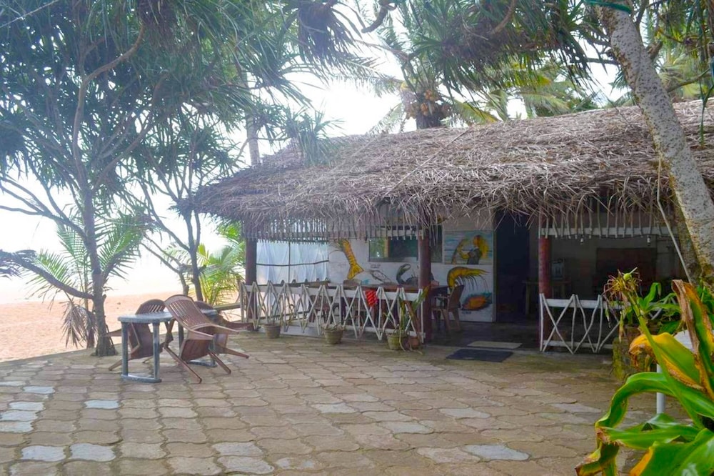 Yoho New Casa Mark view 5