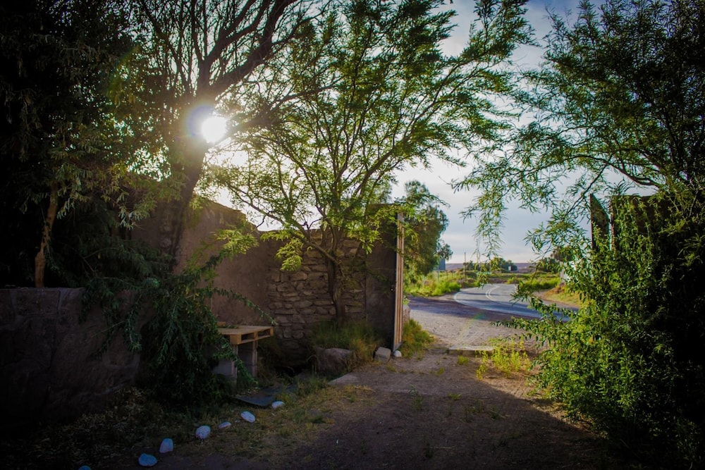 Sol del Desierto