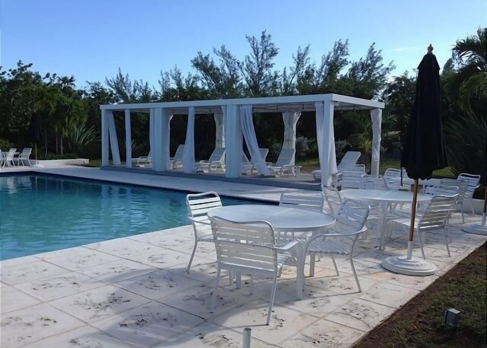Turtle Pointe - Lux New Windermere Home W/pool, Boat Dock, Beach 3 Bedroom Home