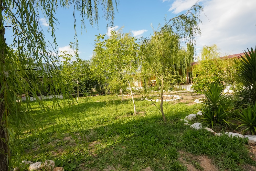 Photo 18