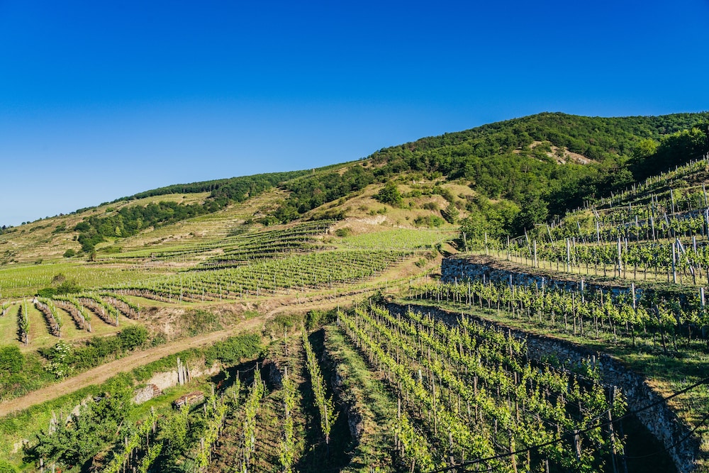 Wachau-Living