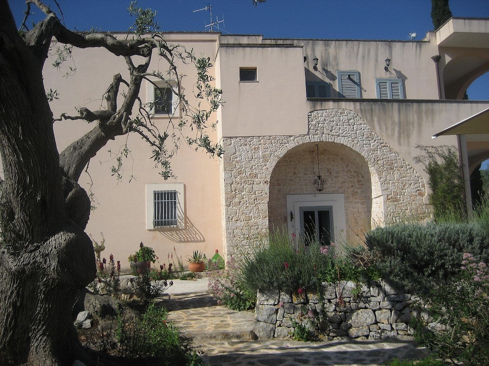 Photo 42