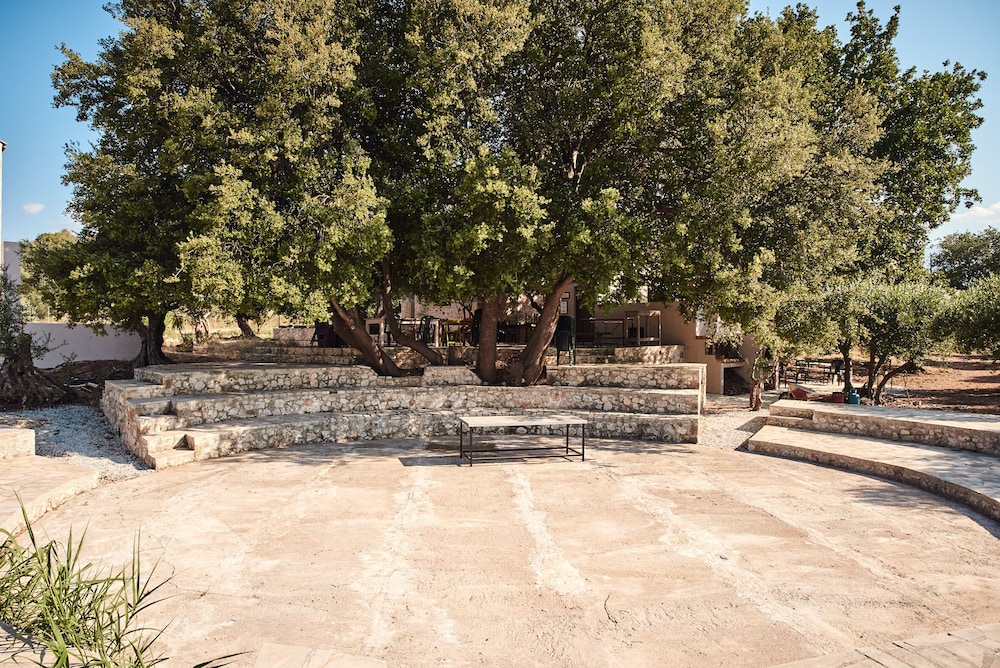 Photo 44
