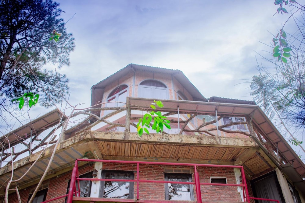 Maple Hostel