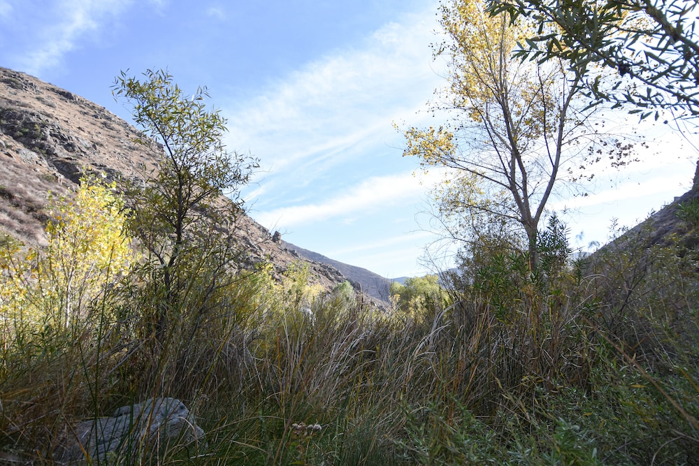 Ensenada Vacations - Rancho San Carlos Aguas Termales - Property Image 118