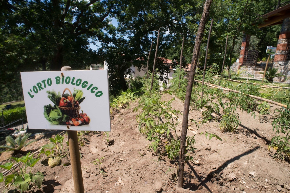 Residenza Lombardi photo 3