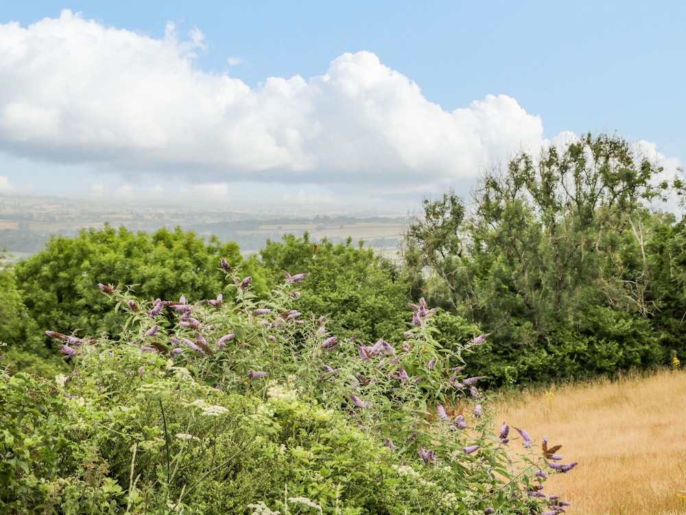 Dorset View