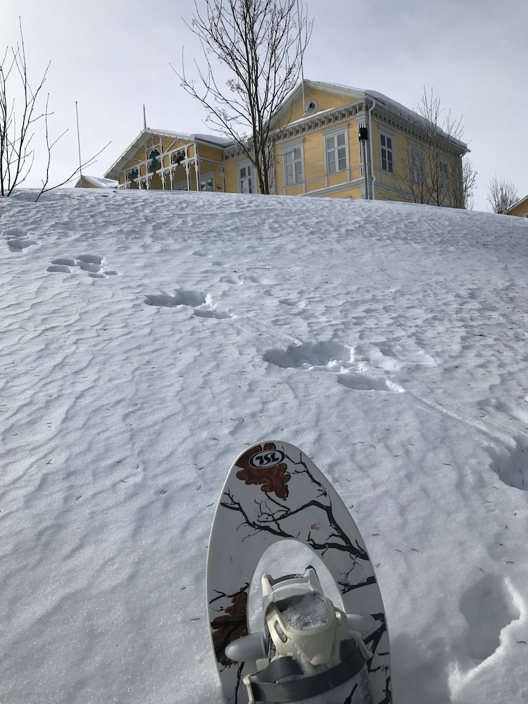 Filipsborg, the Arctic Mansion