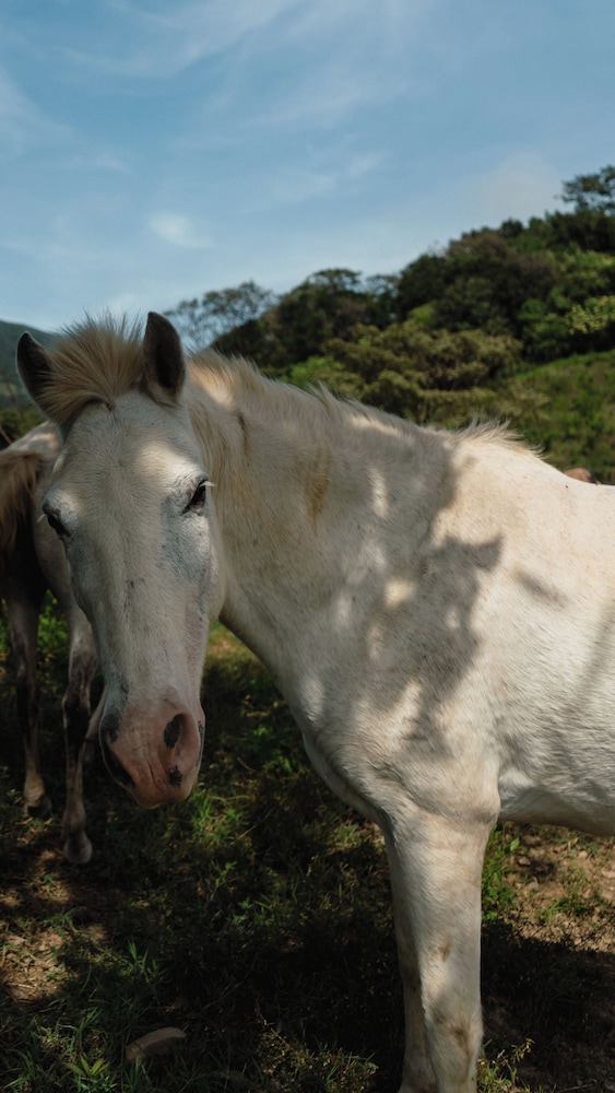 Finca Aquarius