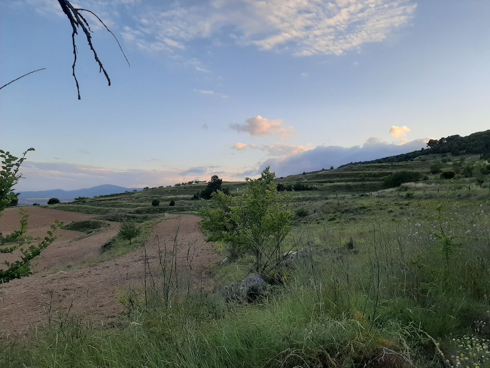 Photo 20
