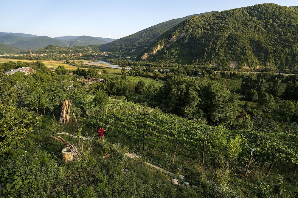 House in the Vineyard