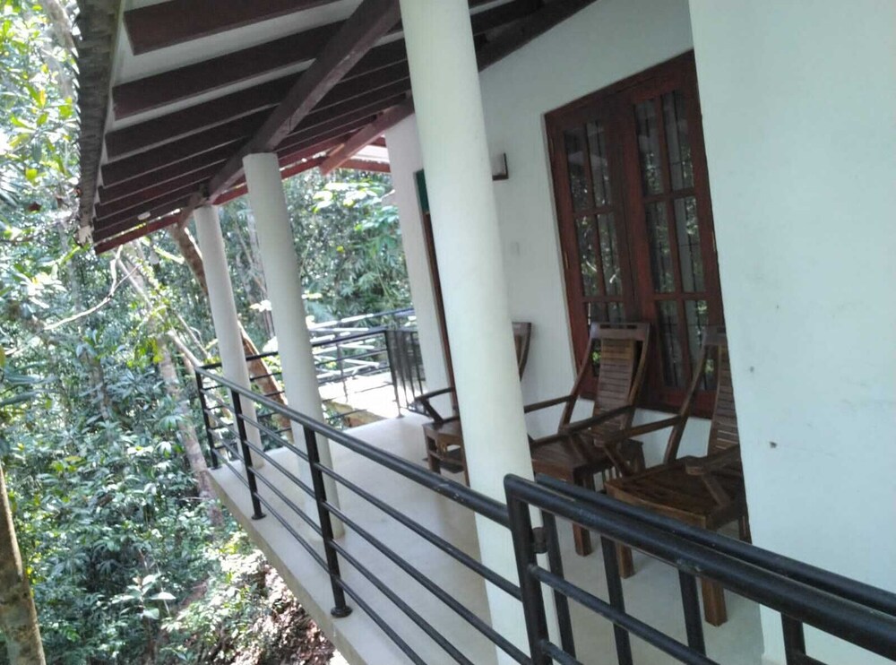 Makeliya Jungle & Waterfall Tour
