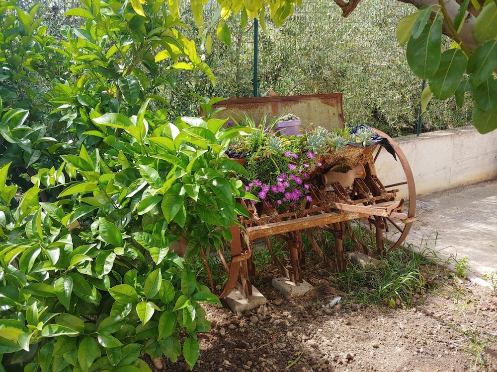 Photo 41
