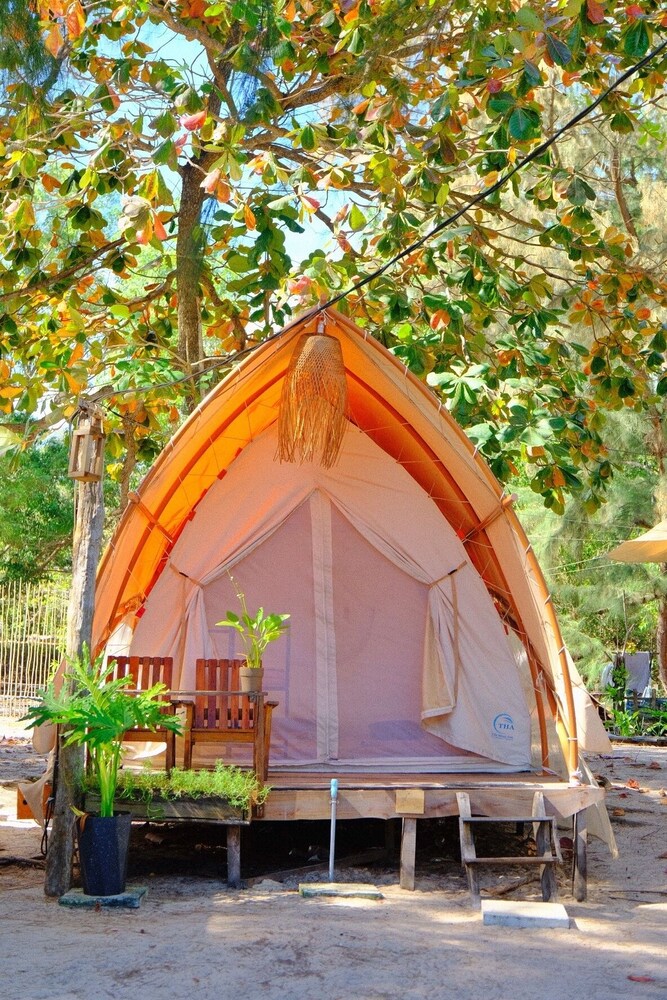 Hang Sói Glamping