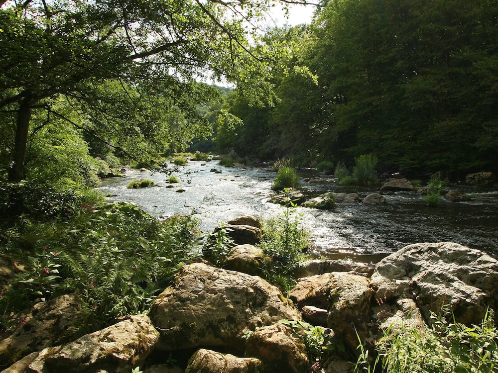 Photo 12