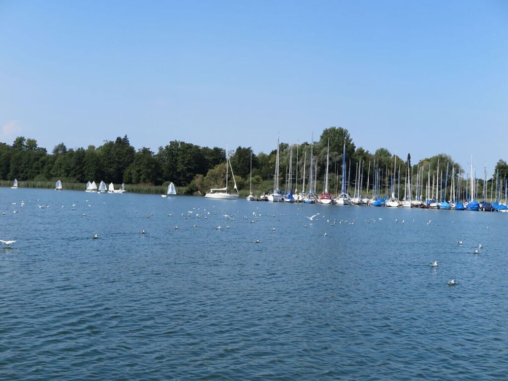 Dennenboomdroom