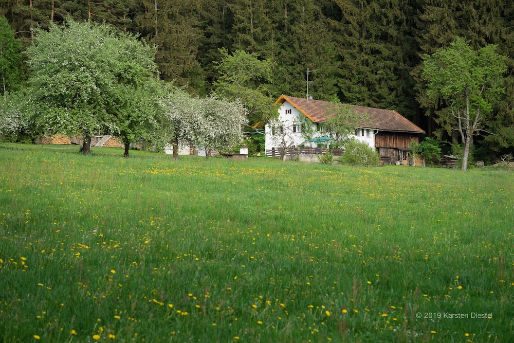 Haus am Waldesrand
