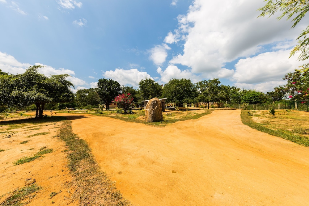 Forestville Yala