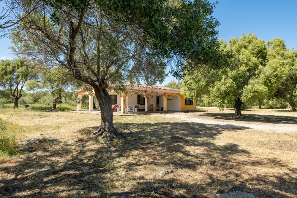 Lovely Cottage With Garden Near Orosei