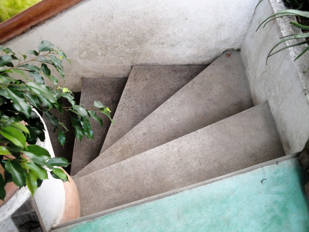 Jardim dos Aloés - Unique B&B, photo 44