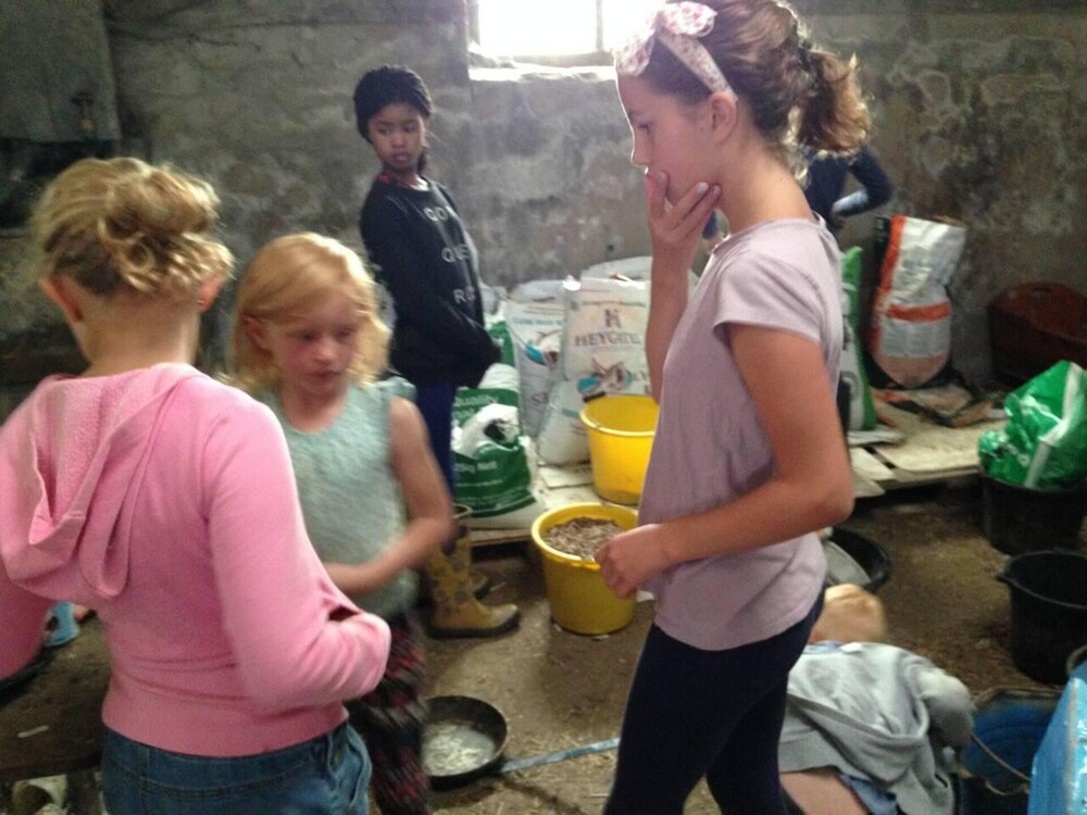 Photo 26