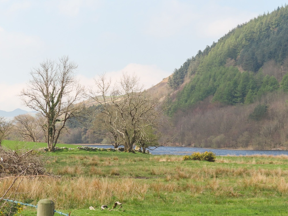 Gilfachwydd