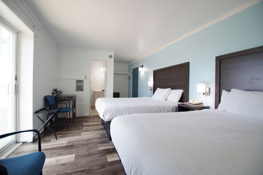Snyder's Shoreline Inn