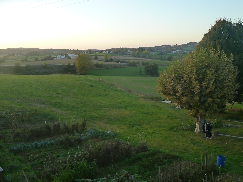 Photo 31
