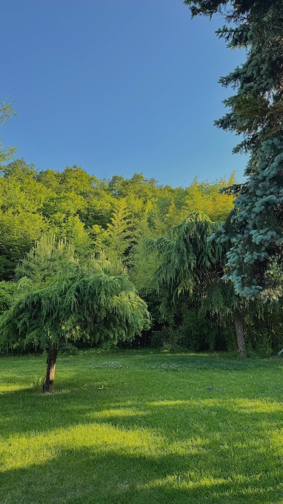 secret valley