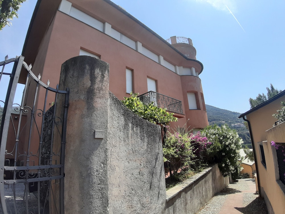 Photo 12