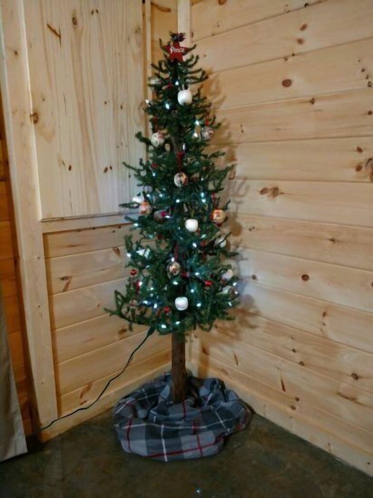 Photo 46