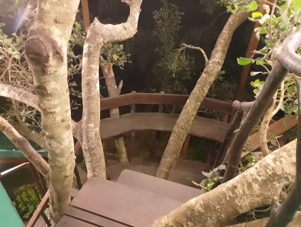 Yala Treetop Lake