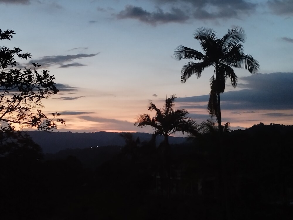 Bhakti Coffee Farm