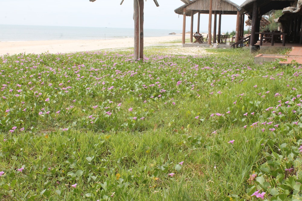 Doi Su Resort